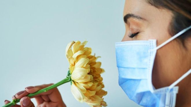5 mitos (y verdades) sobre la fiebre del heno o alergia al polen